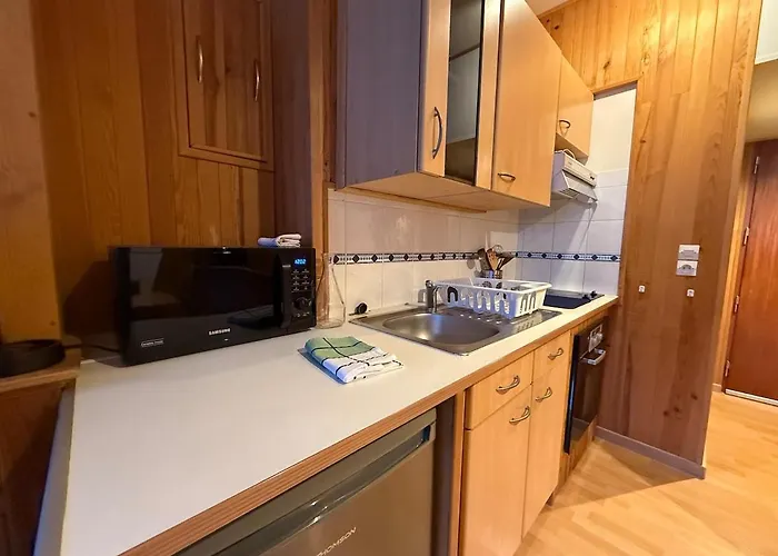 Charmant Studio Chamonix Апартаменты Шамони